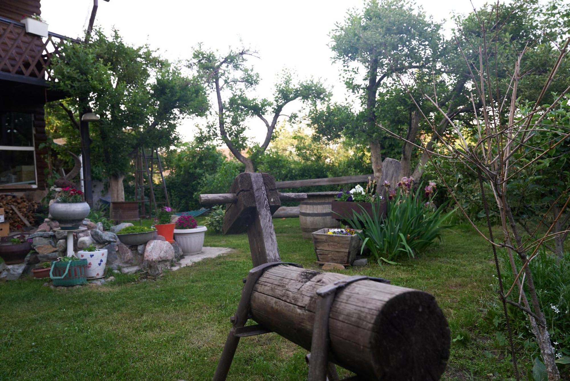 Argo Guest House Karakol Exterior photo
